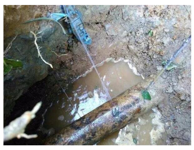 哈尔滨地下管线的漏水检测需要怎样做？